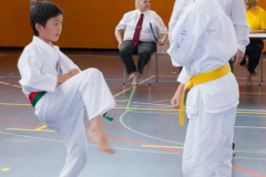 Shotokan_Cup_2019_117_klein