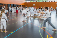 Shotokan_Cup_2019_121_klein
