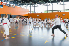 Shotokan_Cup_2019_125_klein