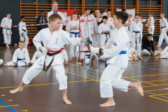Shotokan_Cup_2019_126_klein