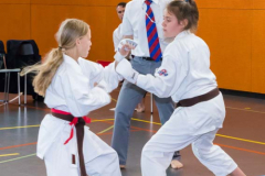 Shotokan_Cup_2019_140_klein