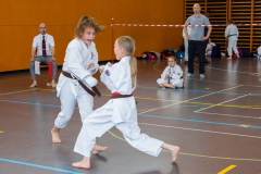 Shotokan_Cup_2019_141_klein