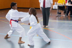 Shotokan_Cup_2019_145_klein