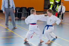 Shotokan_Cup_2019_152_klein