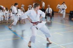 Shotokan_Cup_2019_165_klein