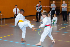 Shotokan_Cup_2019_170_klein