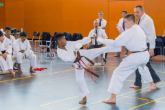 Shotokan_Cup_2019_182_klein