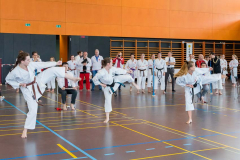 Shotokan_Cup_2019_227_klein