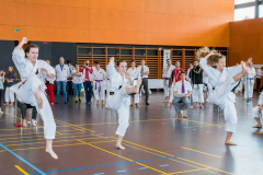 Shotokan_Cup_2019_228_klein