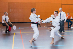 Shotokan_Cup_2019_246_klein