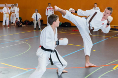 Shotokan_Cup_2019_250_klein