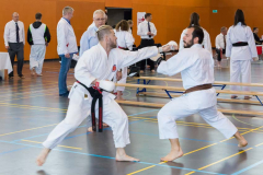 Shotokan_Cup_2019_253_klein