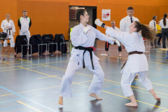 Shotokan_Cup_2019_260_klein