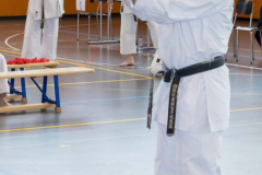 Shotokan_Cup_2019_283_klein