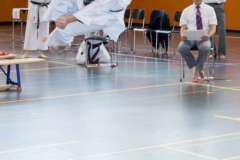 Shotokan_Cup_2019_285_klein