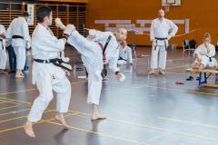 Shotokan_Cup_2019_292_klein