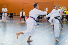 Shotokan_Cup_2019_294_klein