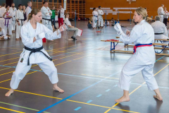 Shotokan_Cup_2019_295_klein
