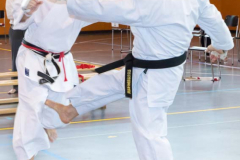 Shotokan_Cup_2019_296_klein